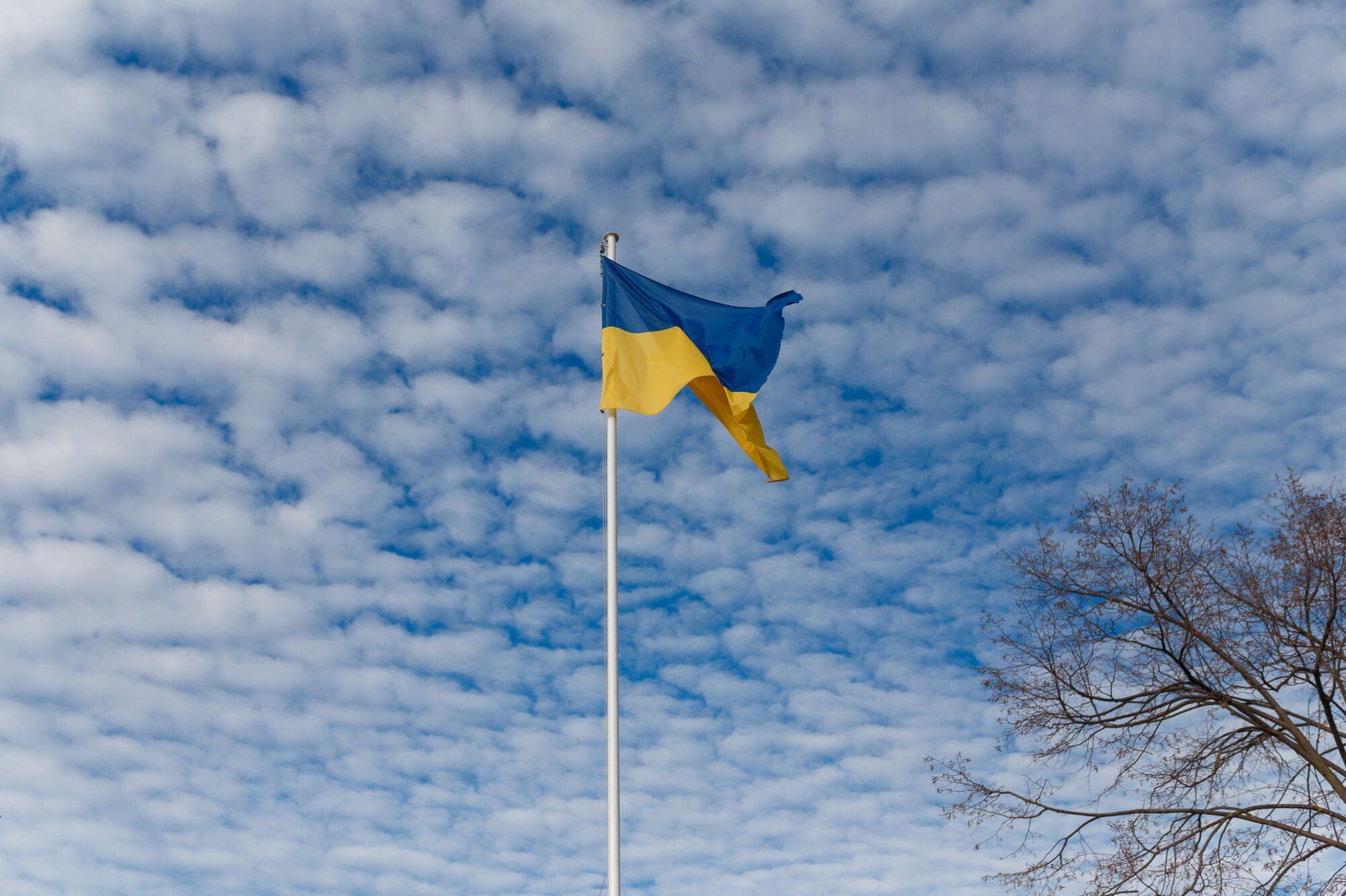 În prezent, aproximativ 35.000 de refugiați de război ucraineni beneficiază de protecție temporară în Estonia – TV3