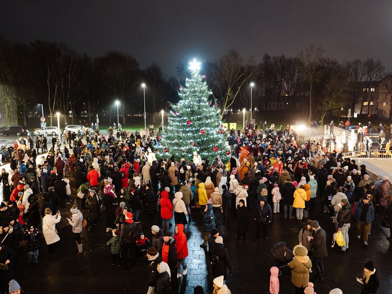 Narva jõulupuu.