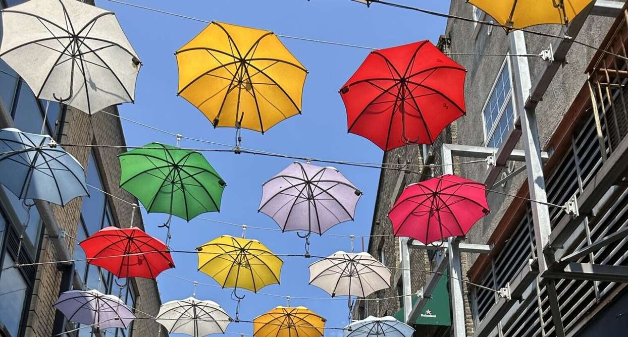 Johanna Alvin