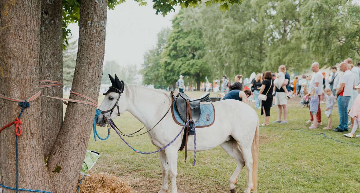 Fotod: Suur Tallinna Toidutänav