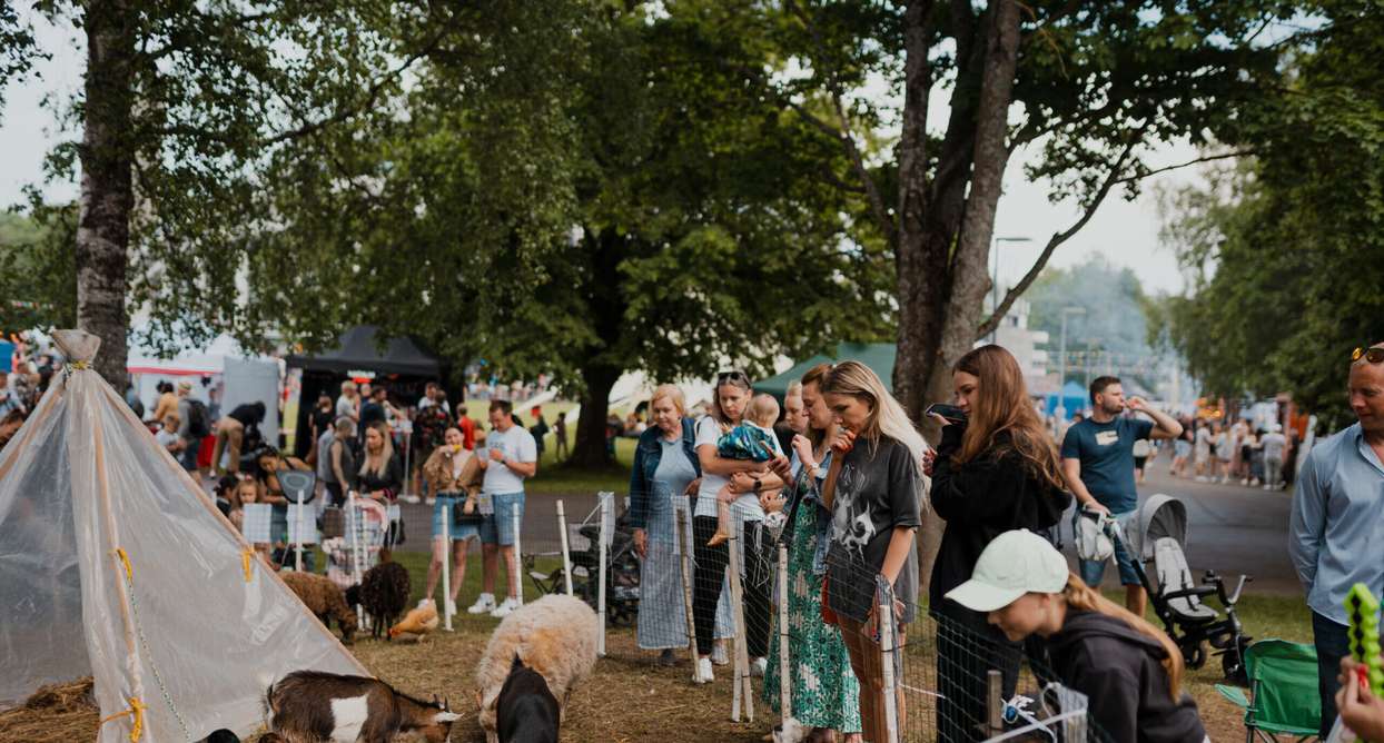 Fotod: Suur Tallinna Toidutänav