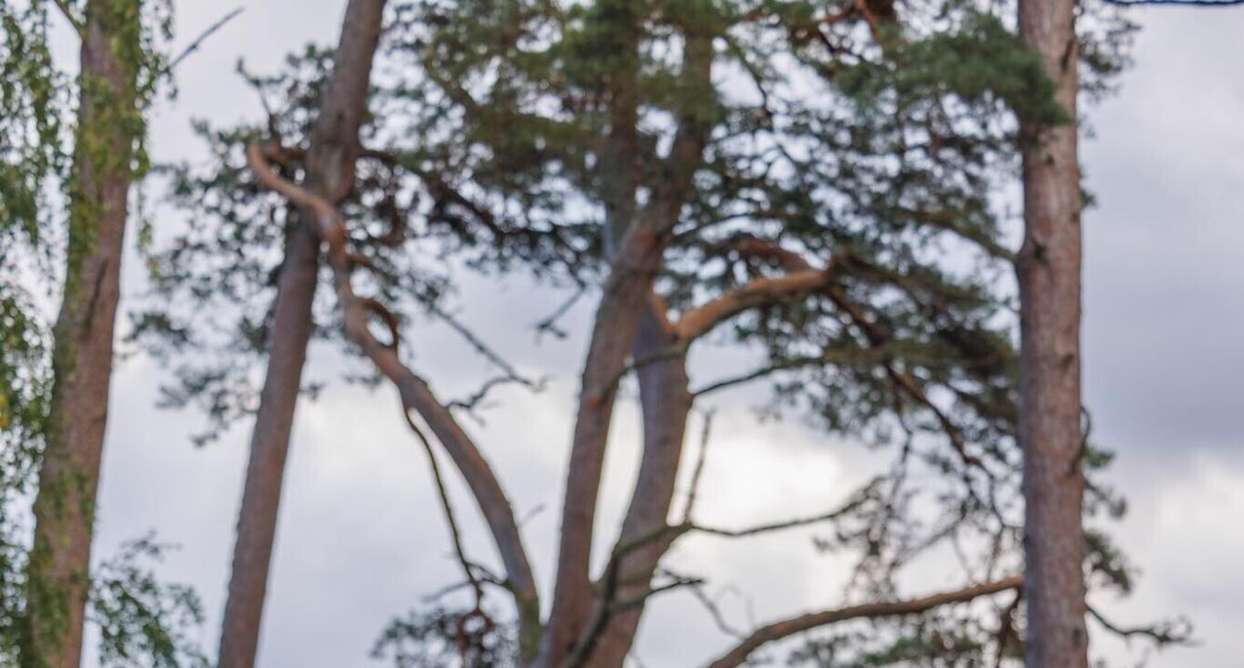 Fotod: Heiko Kruusi