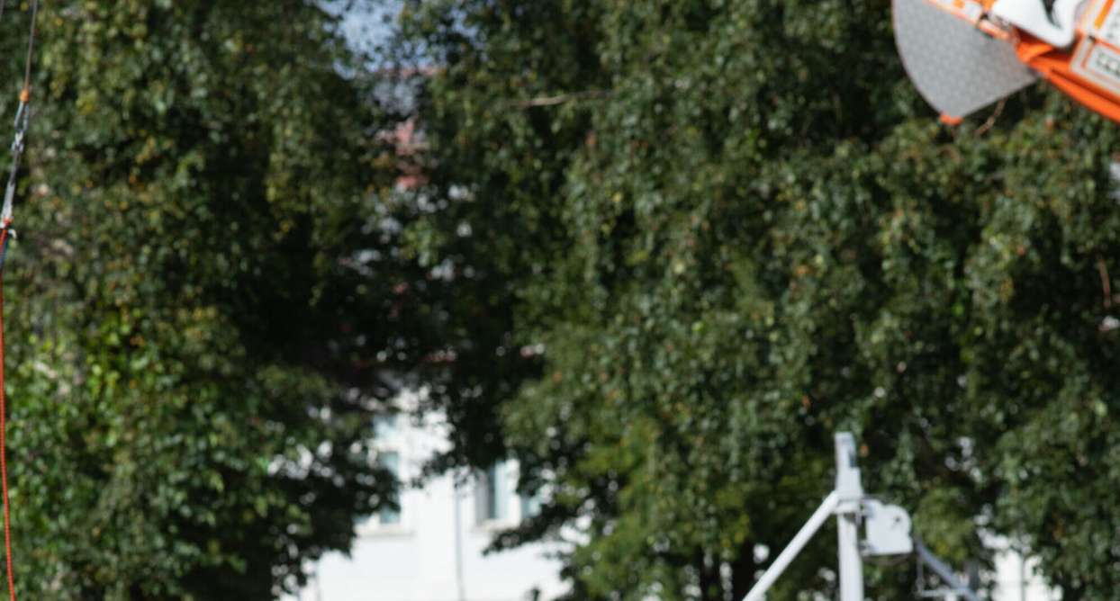 Fotod: Rene Suurkaev