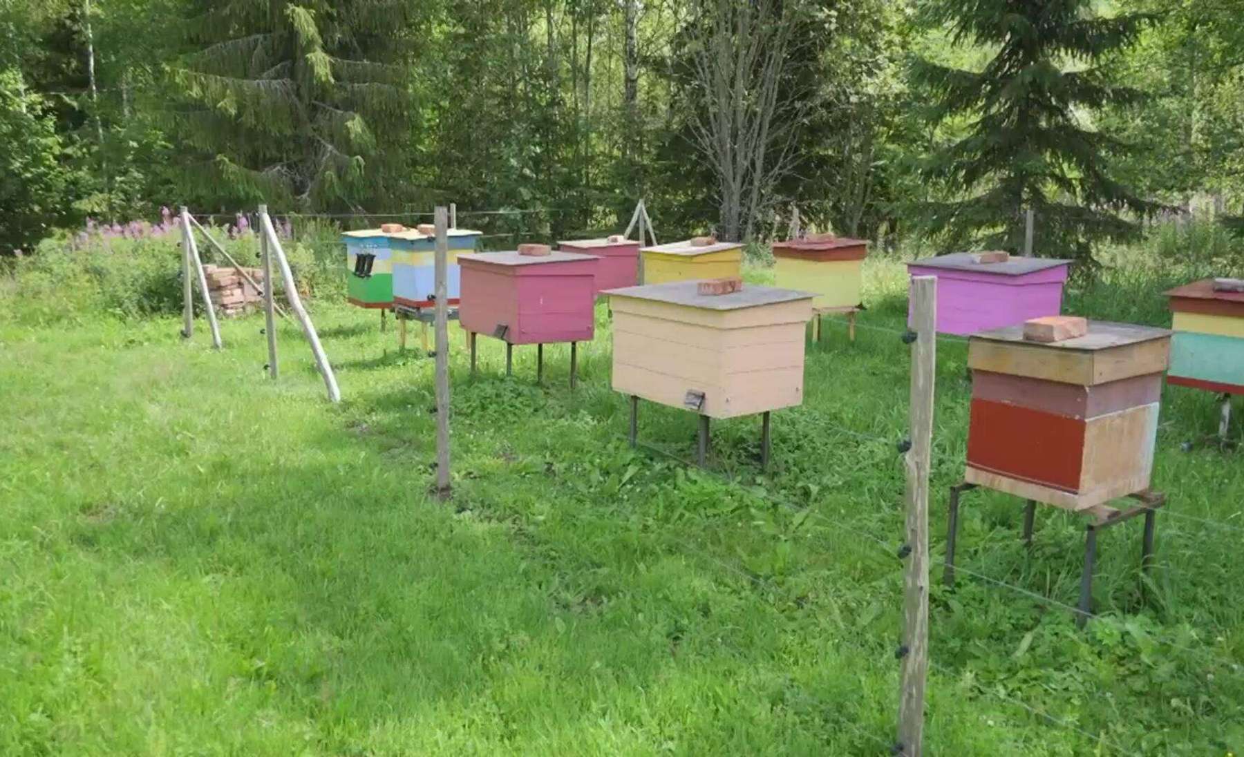 Mesinike tegevust varjutavad murepilved