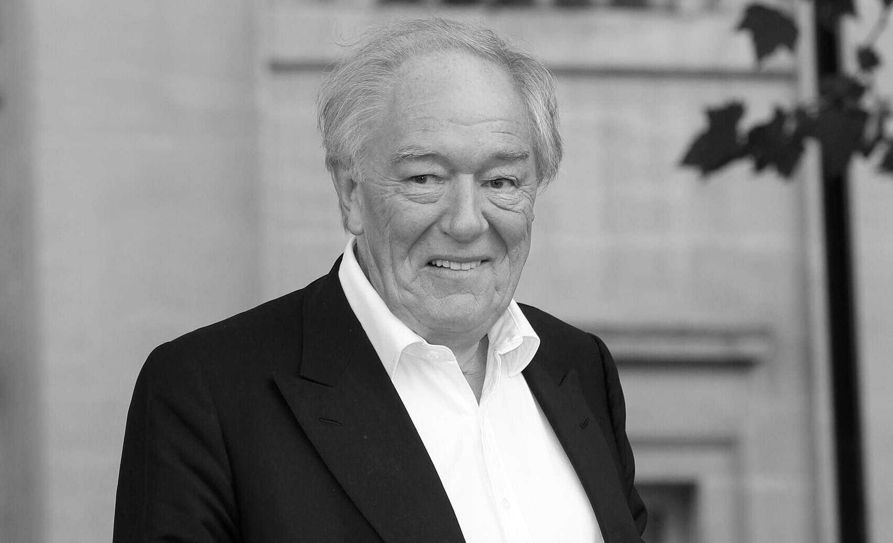 Michael Gambon
