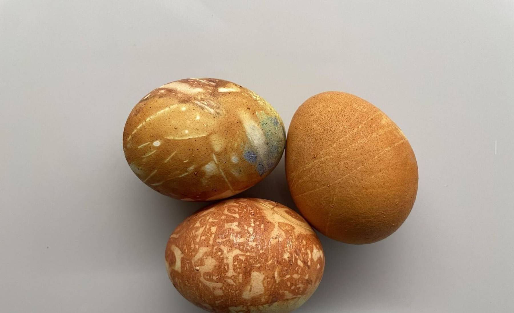 Värvitud munad