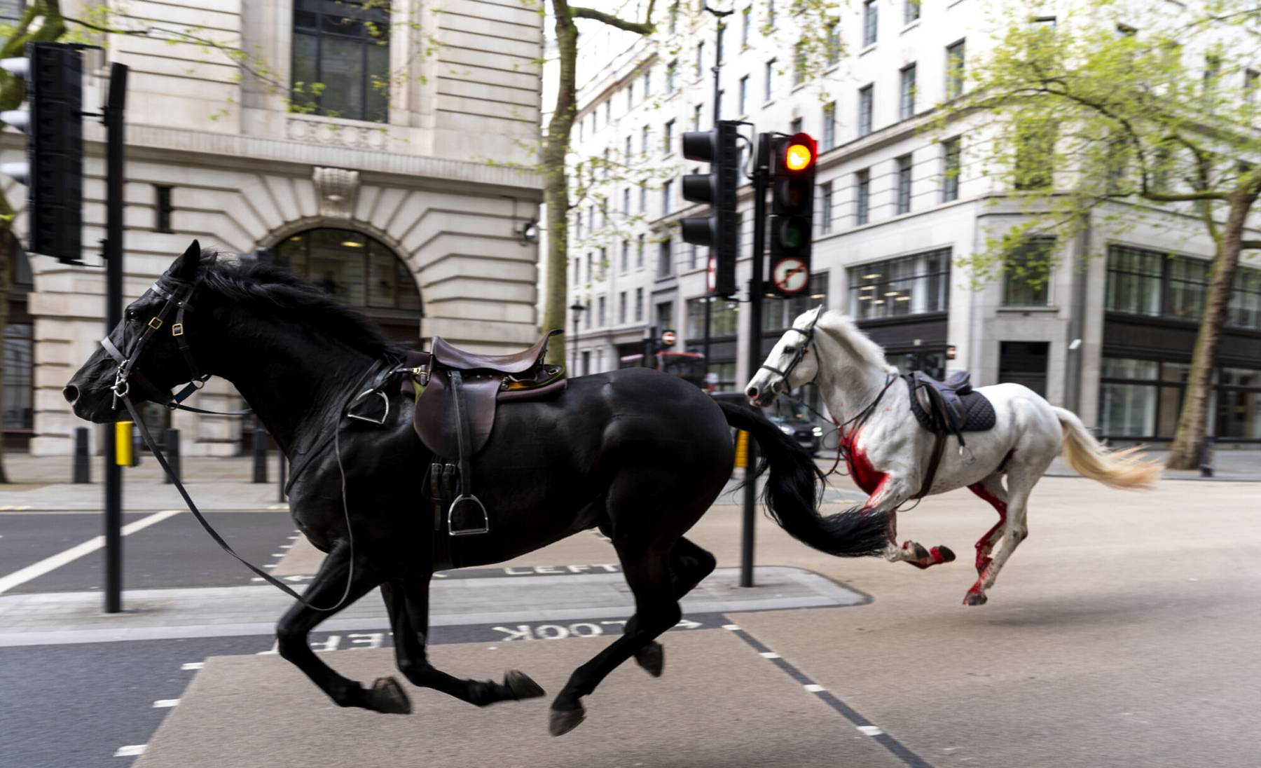 Hobused mööda Londoni linna traavimas