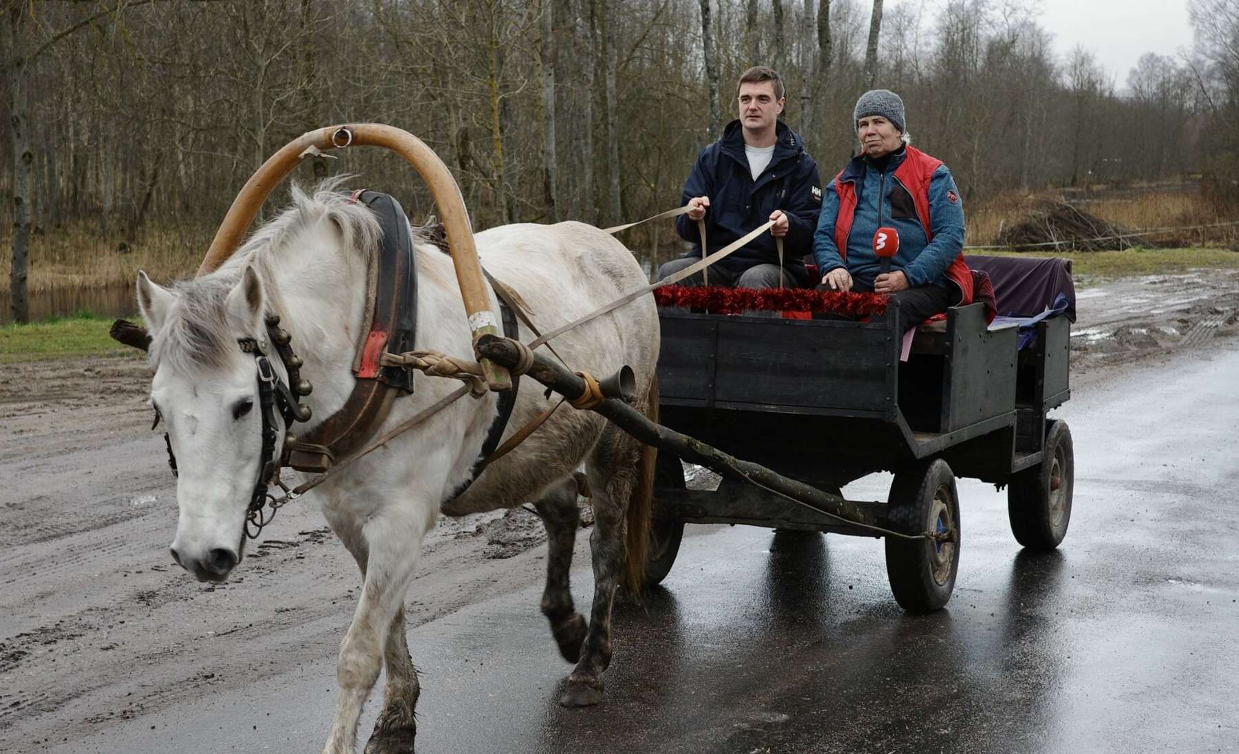 „Märgatud Eestis. Aastalõputrall“