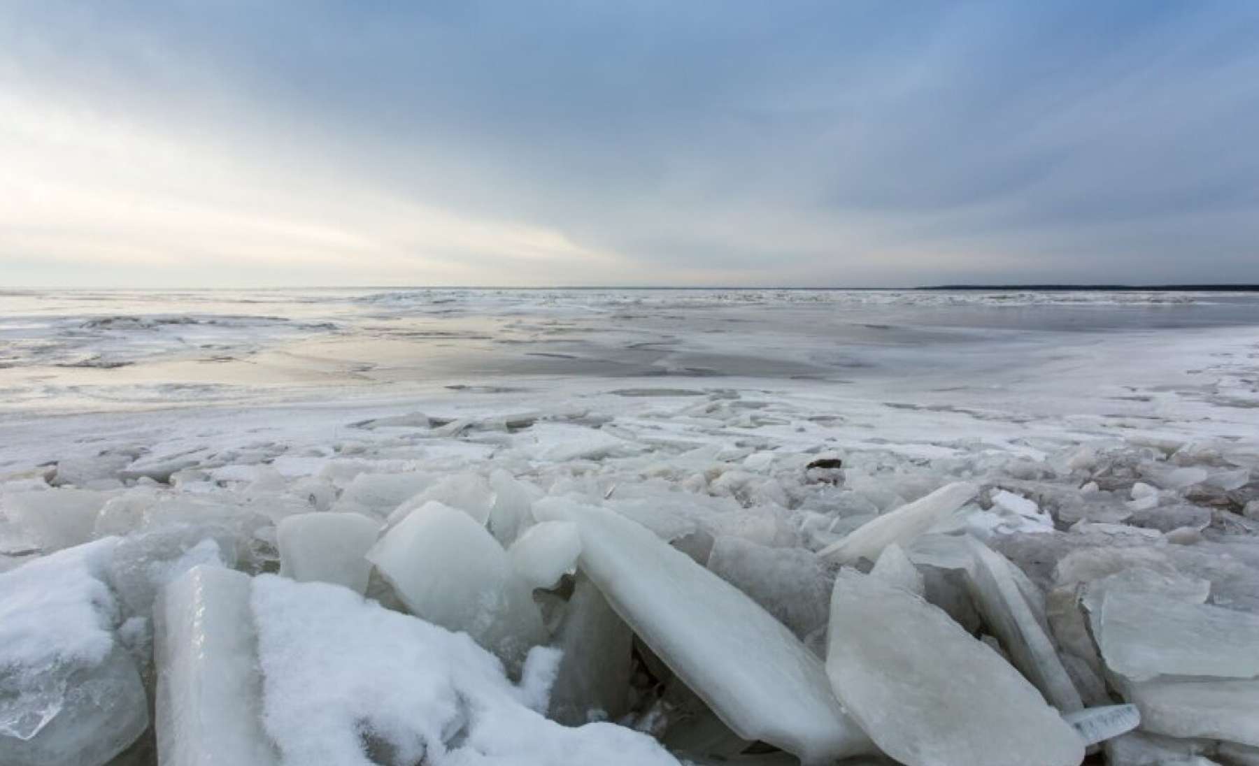 Pärnu