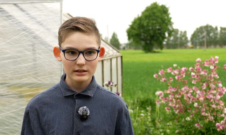 TV3 uudised: noormees tegi suvise töö otsimiseks suisa veebilehe 05.07.2026 Noorte tööpuudus on suur ja eriti keeruline on noortel leida tööd suveks. Elva vallas elab 13-aastane Henri, kes otsustas sel suvel nutiseadmes mängimise asemel käed külge panna ja päris tööd teha. Reporter: Sven Soiver