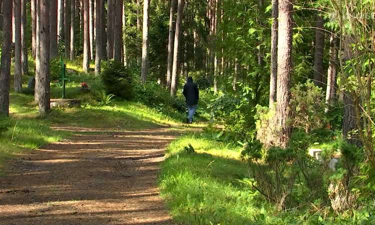 TV3 uudised: Tallinna kalmistul ründab inimesi liputaja
