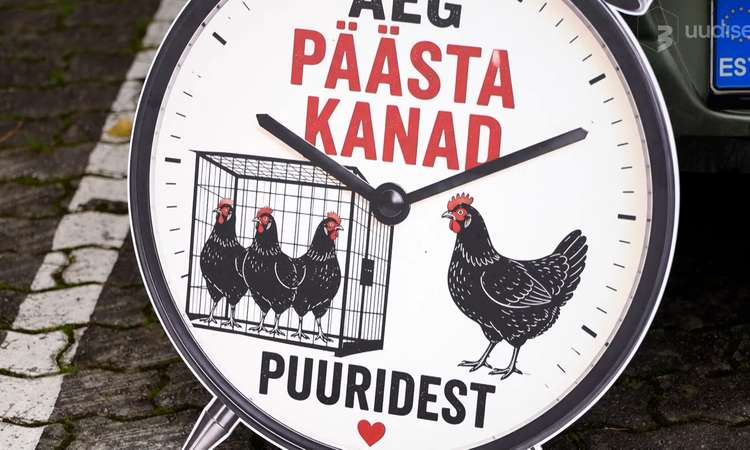 TV3 uudised: 400 puurikana saavad võimaluse uueks eluks