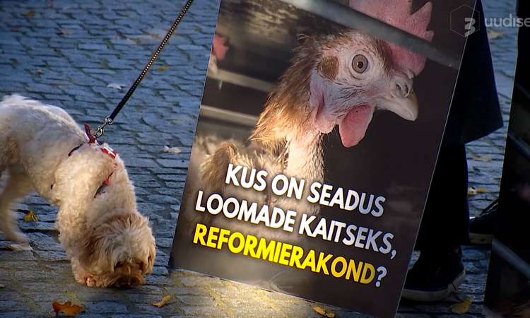 TV3 uudised: kanad jäävad puuridesse? Keelustav eelnõu istub riigikogulaste sahtlis