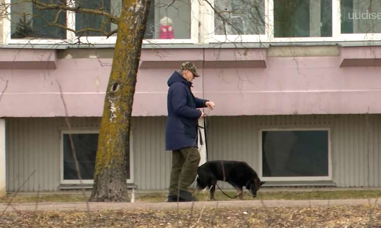 TV3 uudised: loomade kiibistamine muutub kohustuslikuks, kaasneb ka uus maks! 29.10.2026 Alates 2027. aasta keskpaigast muutub Eestis koerte, kasside ja valgetuhkrute kiibistamine ning riiklikus registris registreerimine kohustuslikuks. Looma esmasel registreerimisel tuleb maksta 12 eurot, sama tasu tuleb uuesti maksta ka omanikuvahetuse korral. Reporter: Tiina Laura Kimmel