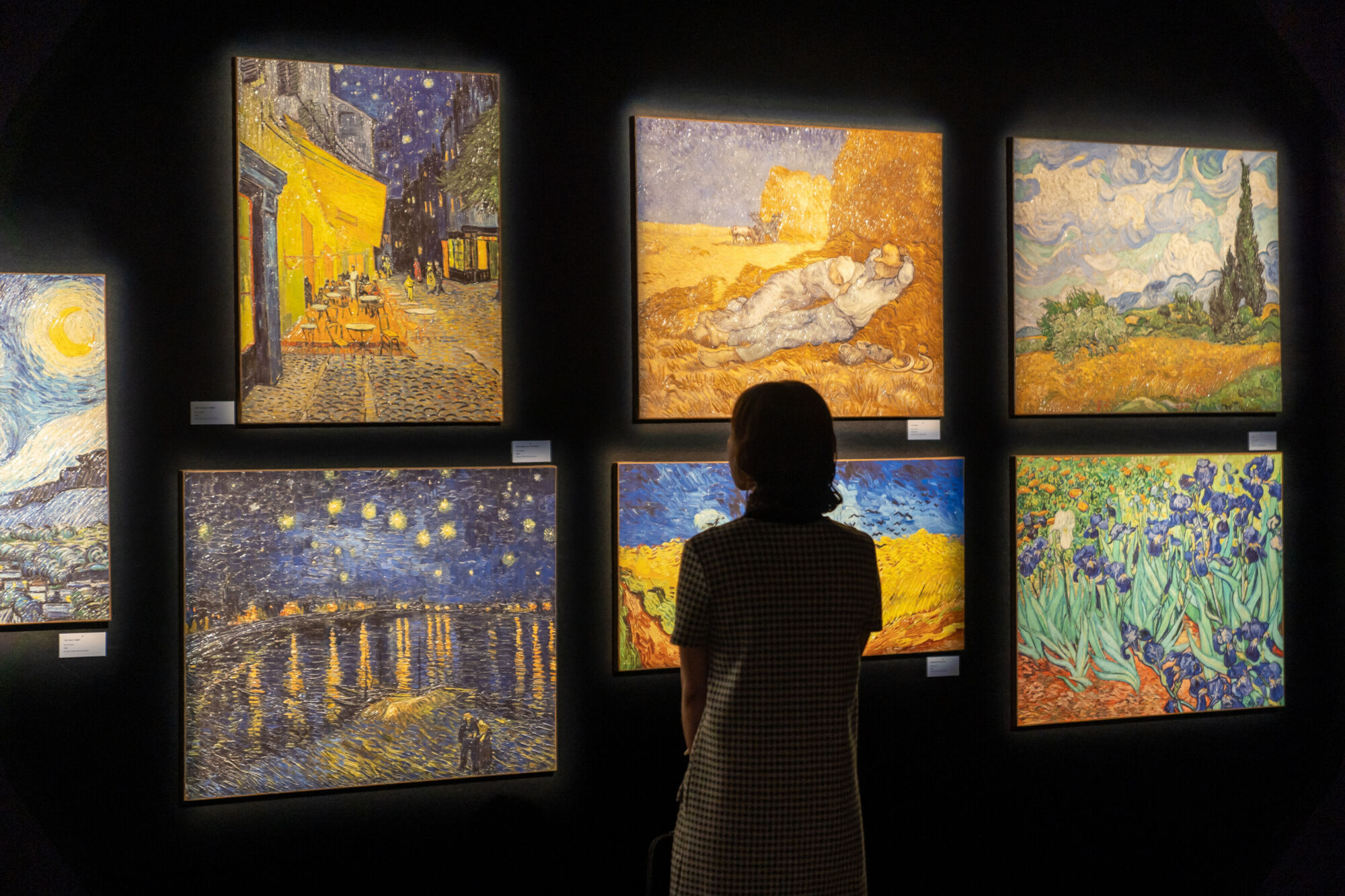 Van Gogh`i elamusnäitus