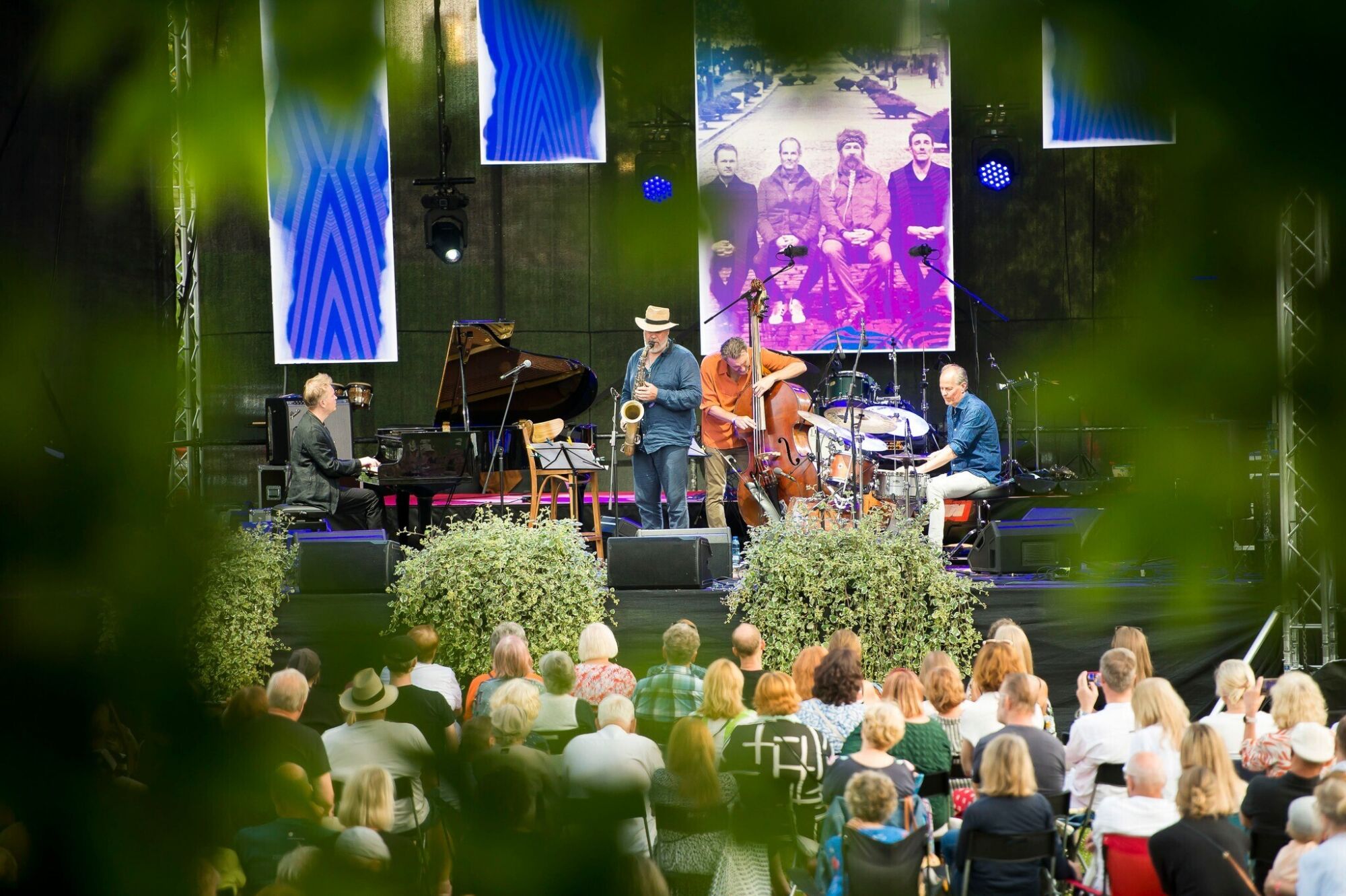 TAFF:fest 2025