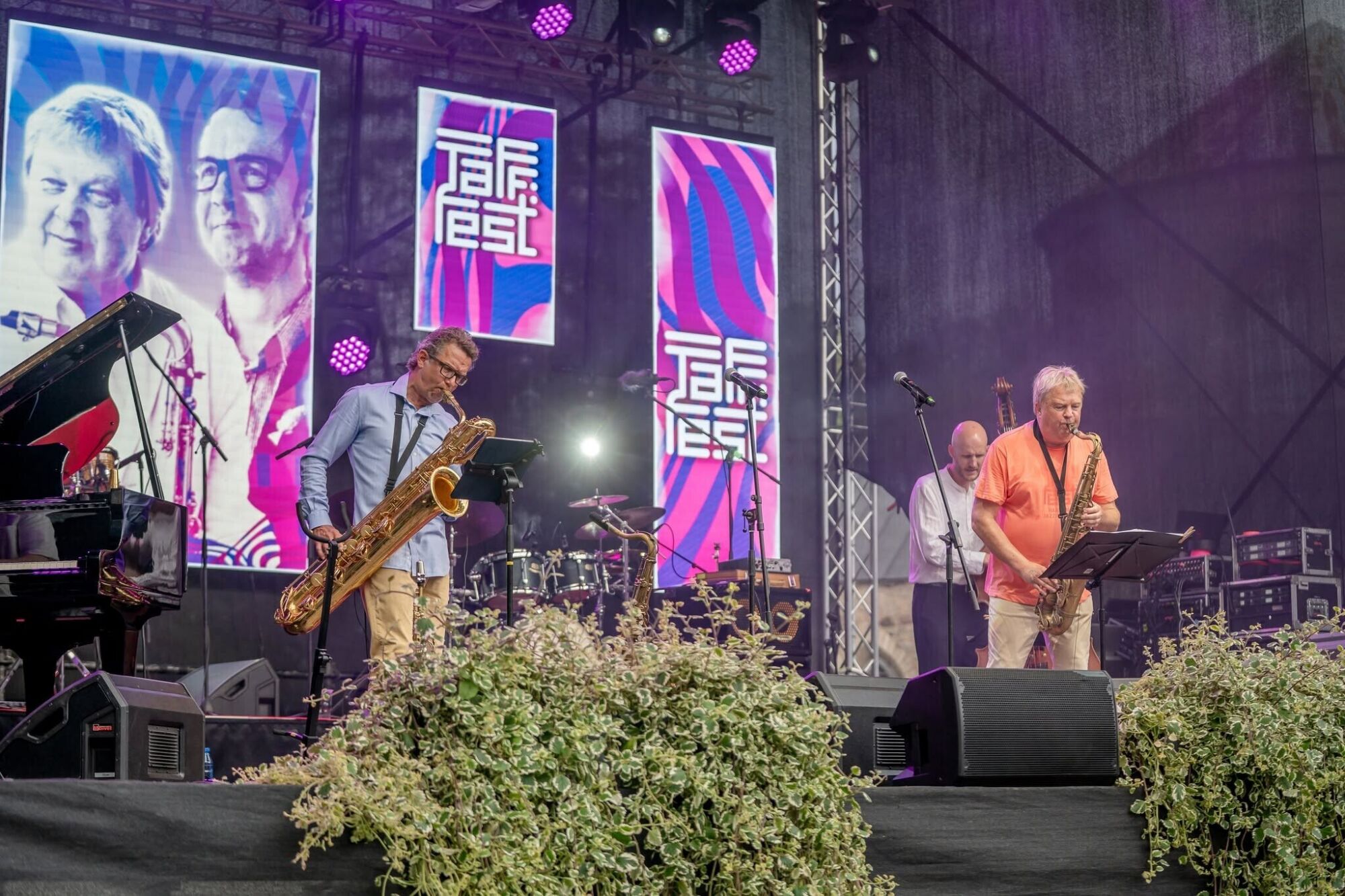 TAFF:fest 2025