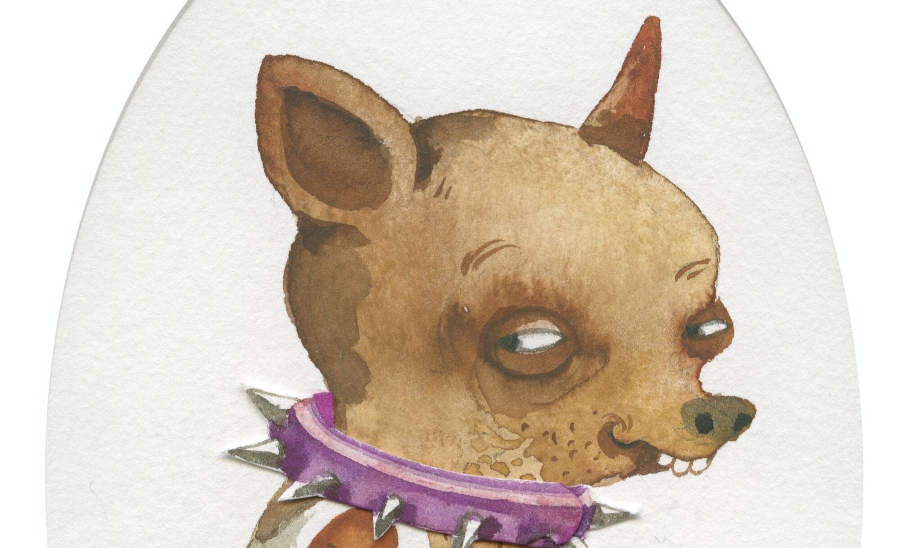 Grażyna Rigalli illustratsioon