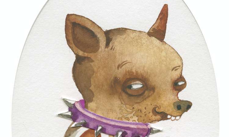 Grażyna Rigalli illustratsioon