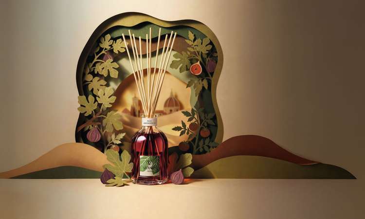 Fico Aromatico