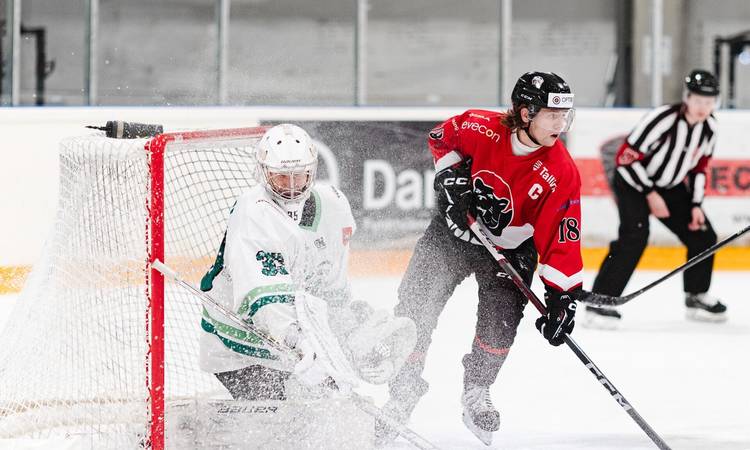 Tallinna HC Panter kindlustas nädalavahetuse kahe võiduga koha Optibet hokiliiga play-offis.